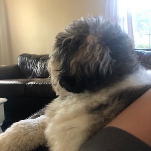 Meet your Posher, Deborah